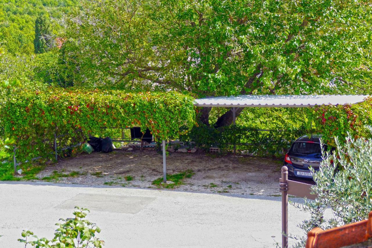 Villa Martinovic Dubrovnik Ngoại thất bức ảnh